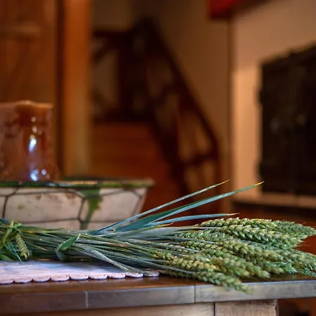 House Donacka Gora *