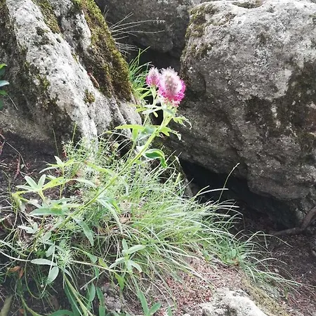 House Donacka Gora Villa *