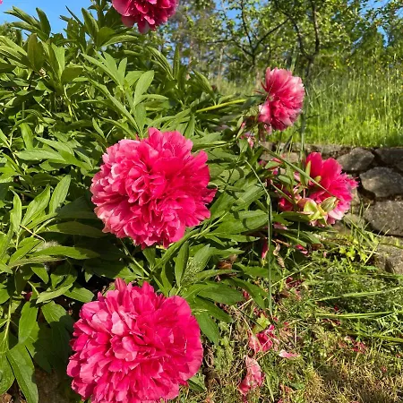 House Donacka Gora Rogatec