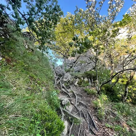 House Donacka Gora *