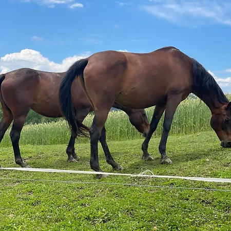 House Donacka Gora *