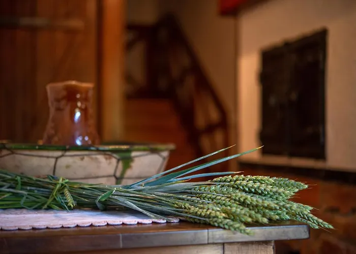 House Donacka Gora *