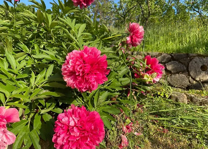 House Donacka Gora Rogatec