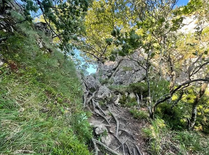 House Donacka Gora *